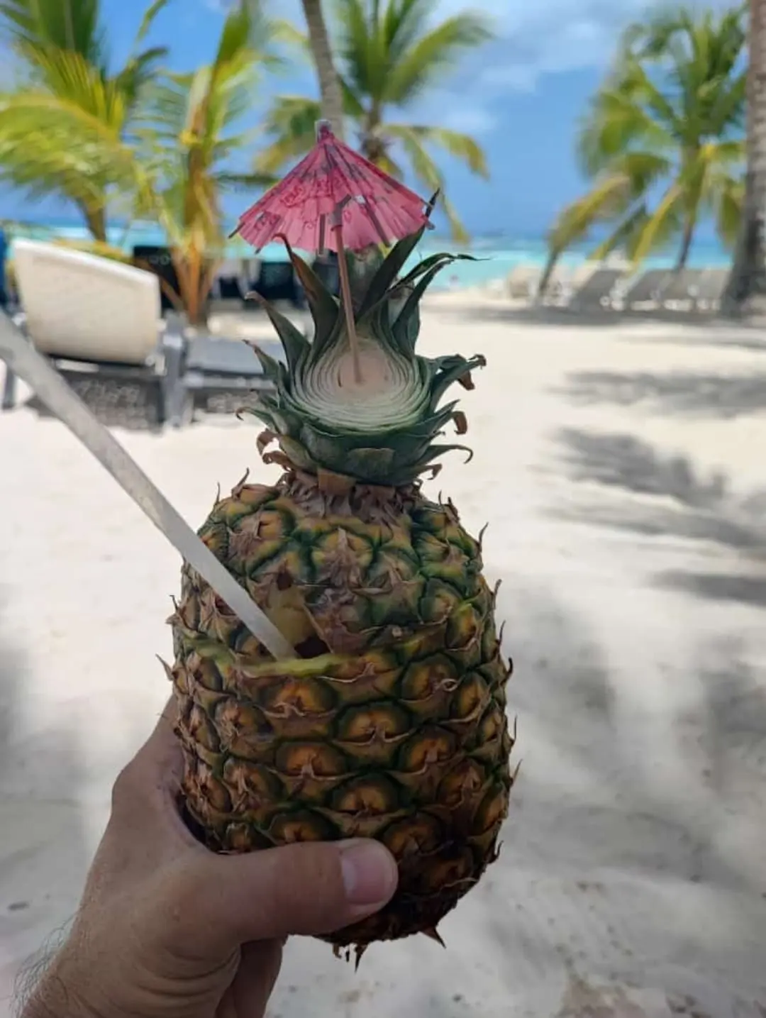 Piña Colada 🍍🥫 bebida en polvo x 1500gms - Imagen 3